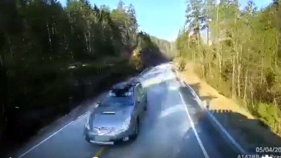 Kreiss Stryn april 2019 videobilde