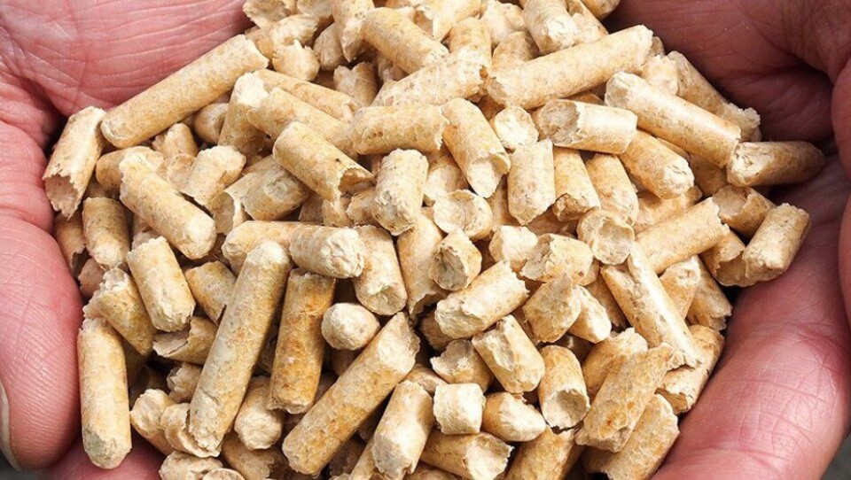 SCA har sikret seg en langsiktig leveranseavtale for hele produksjonsvolumet (80.000 tonn pr år) fra fabrikken til Moelven Pellets på Sokna (Buskerud).