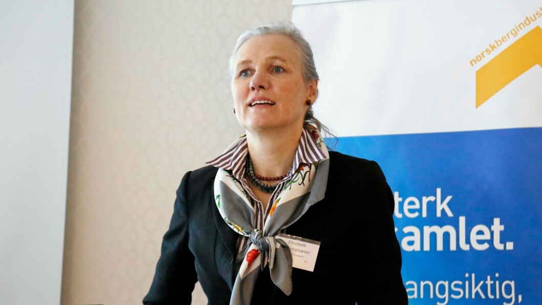 Elisabeth Gammelsæter. Elisabeth Gammelsæter.