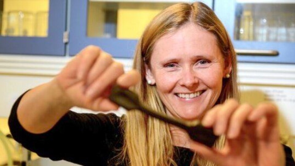 Seksjonssjef Wenche Hovin viser en strekktest av bitumen ved Vegvesenets laboratorium, Sentrallaboratoriet i Trondheim. Testen viser hvor elastisk prøven er.