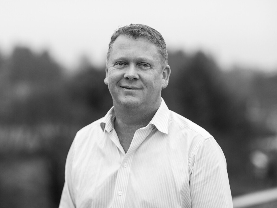 Sortert og kvernet returtrevirke er et materiale det er stor etterspørsel etter, sier Geminors Country Manager i Norge, Kjetil Hausken. Sortert og kvernet returtrevirke er et materiale det er stor etterspørsel etter, sier Geminors Country Manager i Norge, Kjetil Hausken.