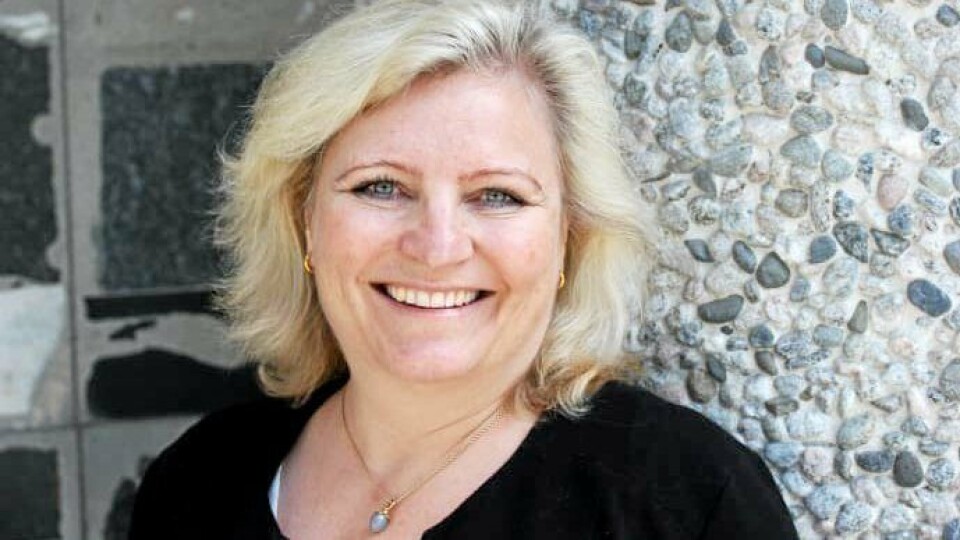 Generalsekretær Anita Helene Hall i Norsk Bergindustri er fornøyd med deler av regjeringens forslag til statsbudsjett. Men hun hadde ønsket seg noen forandringer.