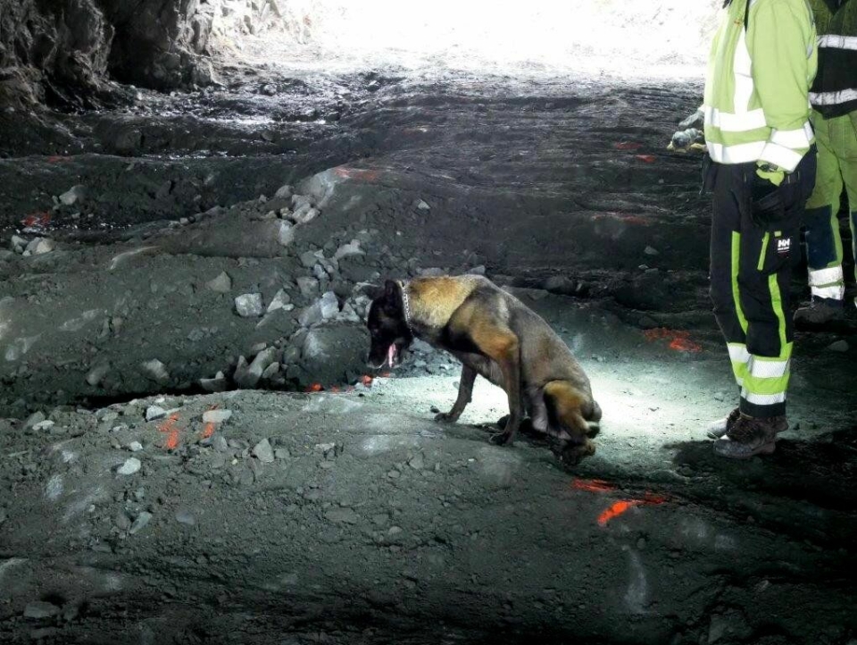 Hunder har markert ti steder med eksplosivrester under arbeidet.