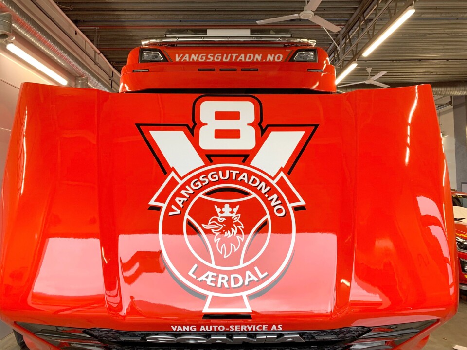 V8-PANSER: Bilen er godt merket.