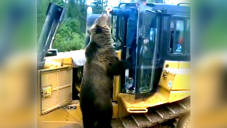NB: SE VIDEOEN I ARTIKKELTEKSTEN. Video: Russiantex, Instagram