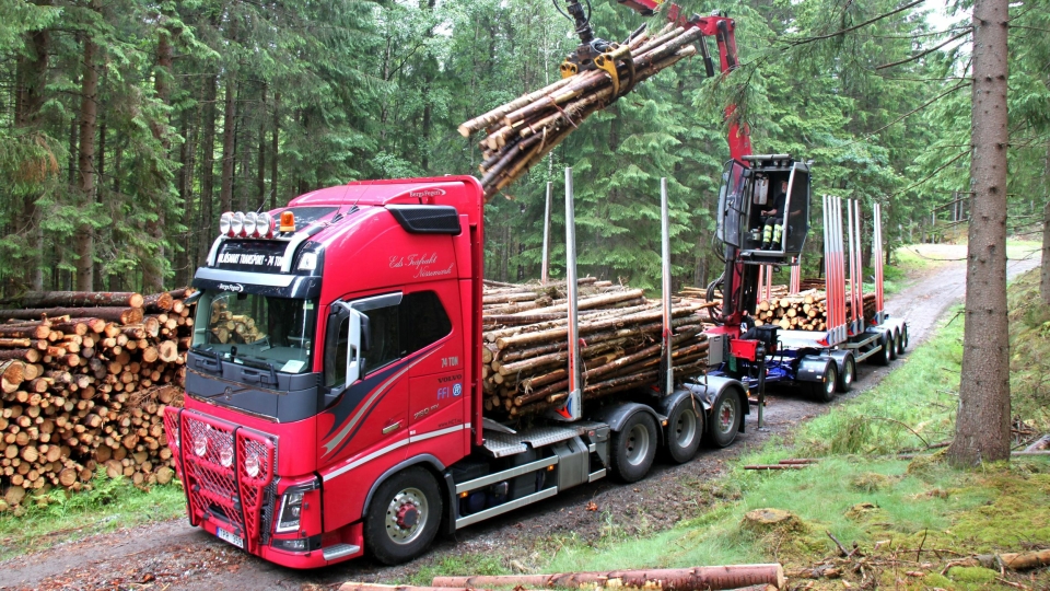 Statens vegvesen forbereder en prøveordning for tømmervogntog med opptil 74 tonn totalvekt. Bildet viser et 74 tonns svensk tømmervogntog.