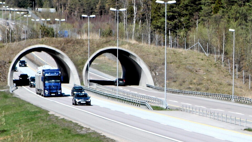 Illustrasjonsbilde trafikk: 97 av de 140 dødsulykkene med tyngre kjøretøy involvert, 2014-2018, skjedde i dagslys. Halvparten av dødsulykkene skjedde på bare og tørre veier.