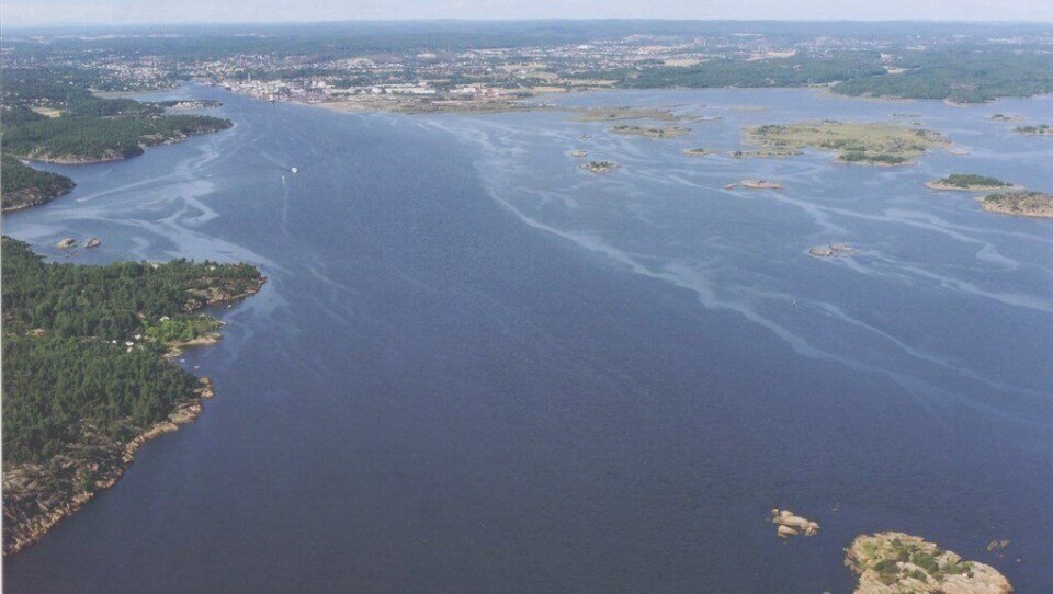 Borg havn er en av 32 stamnetthavner, det vil si hovedhavner for godstransport, i Norge. Regjeringen ønsker at mer gods skal fraktes på sjø og bane, da dette skal være betydelig mer klimavennlig enn transport på vei. Foto: Kystverket.
