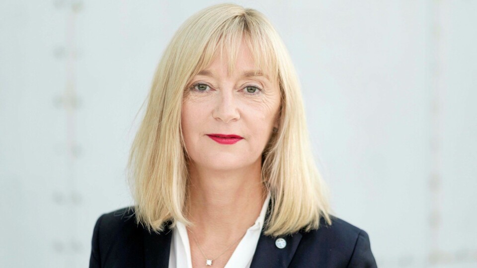 VIKTIG INFORMASJON: Kunnskap om ulykkestyper er viktig for å iverksette tiltak, sier direktør Trude Vollheim i Arbeidstilsynet.