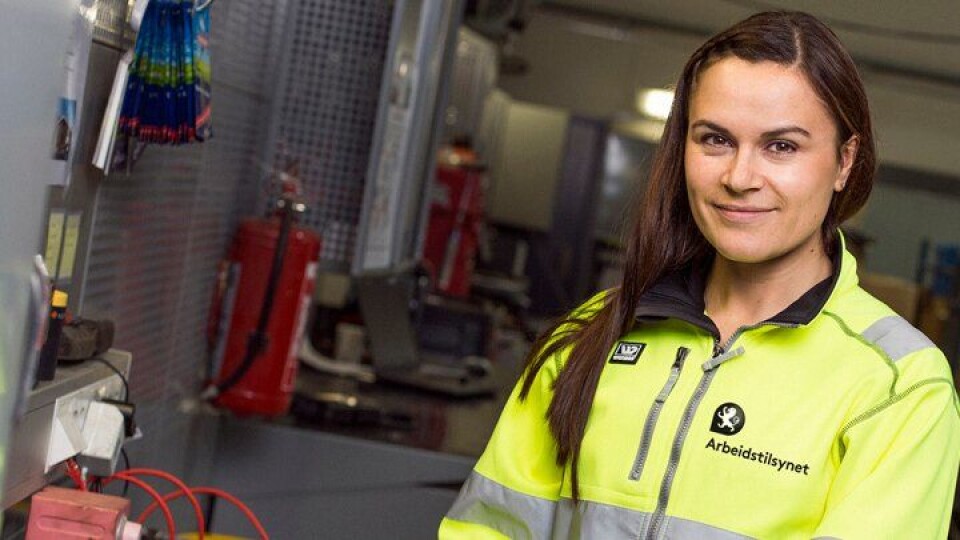 Arbeidstilsynet prioriterer de næringene som har størst risiko for skader, ulykker, arbeidsrelatert sykdom og uverdige arbeidsvilkår.