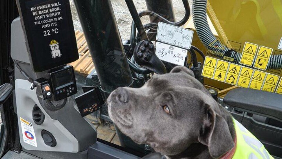 Dog Mode skal sikre behagelig temperatur i Cat-førerhuset for menneskets beste venn.