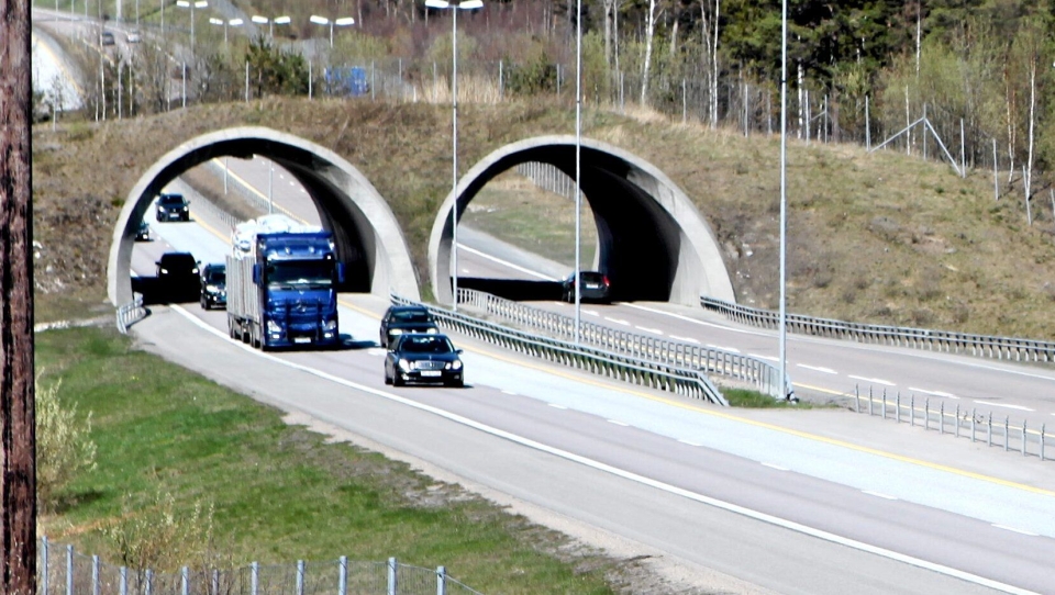 Illustrasjonsbilde lastebil