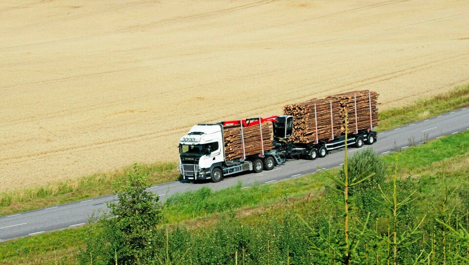Illustrasjonsbilde biodrivstoff.