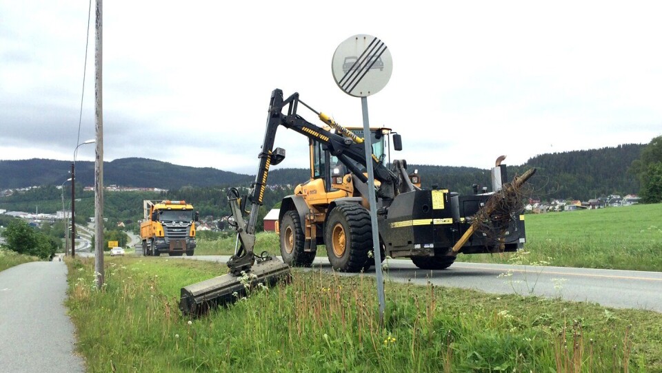 Illustrasjonsbilde: Kantklipp på fv. 950 ved Ranheim i Trondheim i juni 2015.