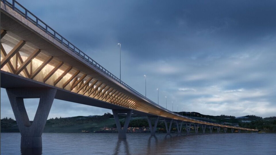 Konseptillustrasjonen viser en mulig bruløsning over Mjøsa fra nordøst.