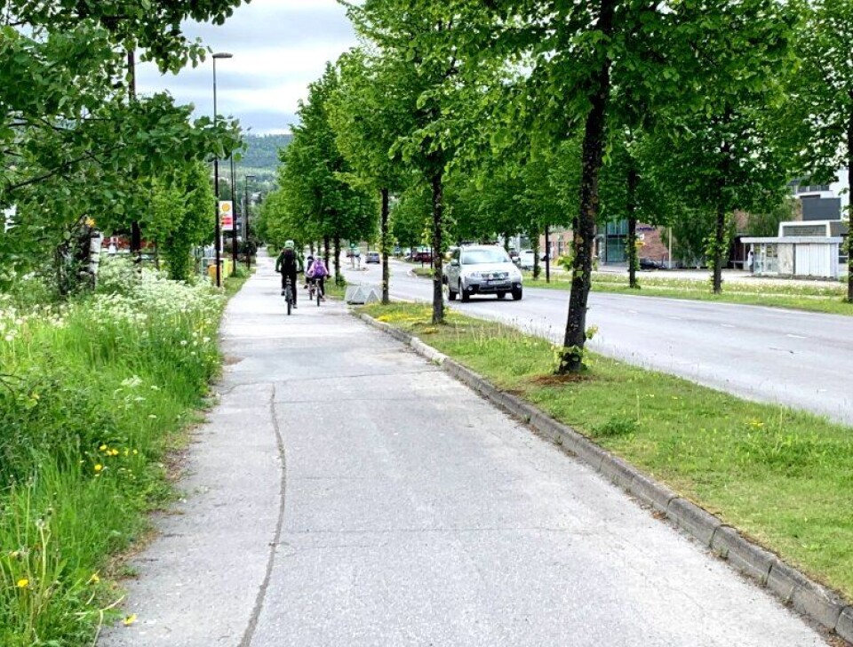 Syklister og gående på denne strekningen i Nordre Ål på Lillehammer, får om vel et år «høystandard sykkel- og gangvei». Samtidig får området nye vann- og avløpsledninger. Statens vegvesen og Lillehammer kommune har gått sammen i et fellesprosjekt.