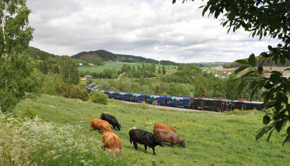 Flis-transport på bane er et viktig bidrag for å nå klima- og miljømålene.