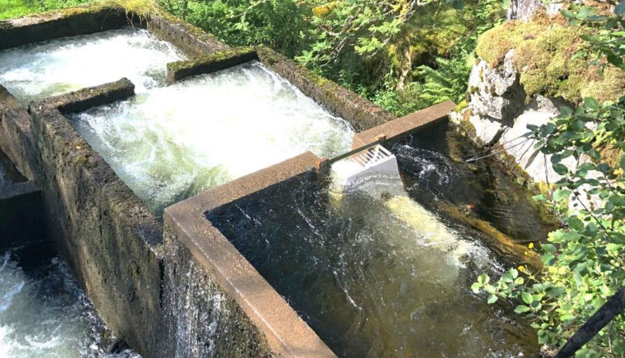 Fisketrappene i Hovefossen ble opprinnelig bygget i 1975. Fisketrappene bidrar til at laks og ørret kommer opp til den delen av elva Nausta med de beste gyte- og oppvekstvilkårene.