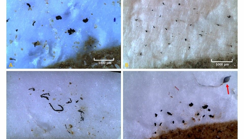 Bildene viser funn av svarte ukjente gummipartikler fra alle fire saltproduksjonsstedene. A) Ben Gardene, Tunisia (sjøsalt) B) Torrvieja, Spania (sjøsalt) C) Zarziz, Tunisia (sjøsalt) og D) Bernburg, Tyskland (steinsalt).
