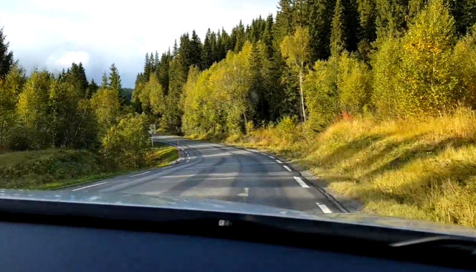 Det skal bygges ny E6 i Grane kommune i Nordland. E6 er ulykkesbelastet her i dag. Se video nederst i saken.