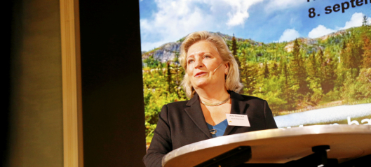 Norsk Bergindustri - på vei mot en bærekraftig mineralnæring