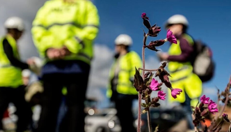 Arbeid for biologisk mangfold på Hedrum pukkverk