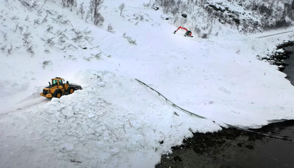 En hjullaster og en gravemaskin rydder snø på fv. 883 ved Skillefjorden. Like ved rydder en hjullaster og en gravemaskin et annet snøras. Autovernet har lite å stå imot naturkreftene med.