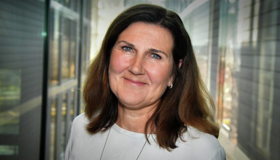 Vegdirektør Ingrid Dahl Hovland, Statens vegvesen.