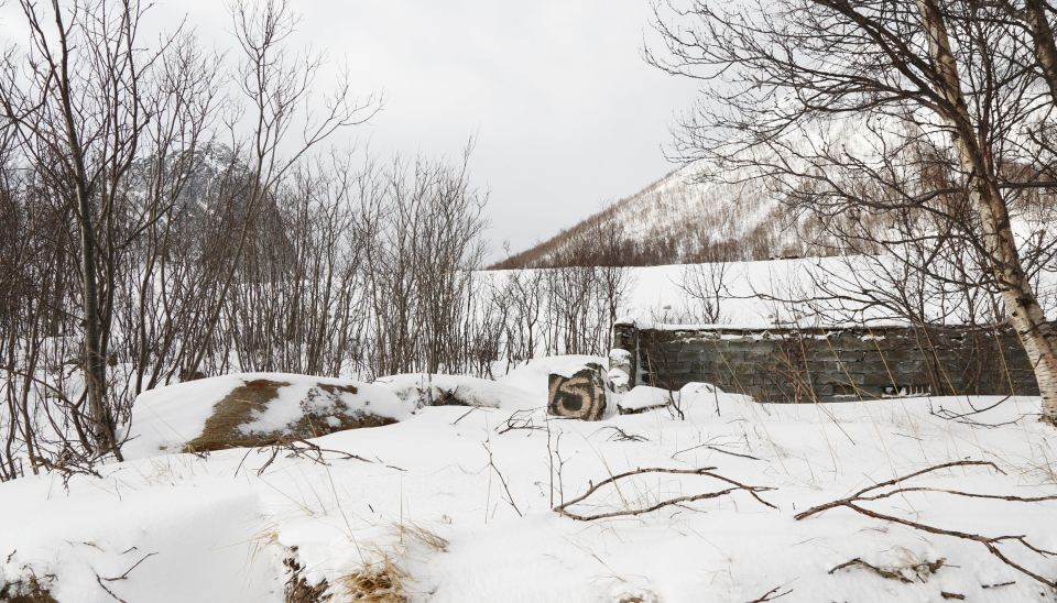 DET VAR ENGANG: Et hus i Fjordgård. Foto: Klaus Eriksen