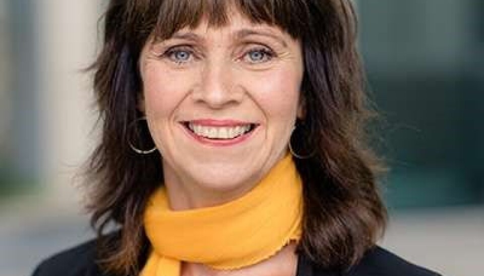 Jenny Følling, leder av Nasjonal rassikringsgruppe.
