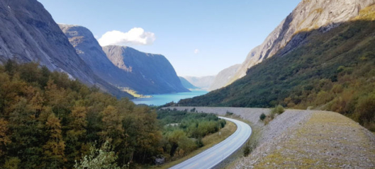 Tre vil drifte riksveiene i Sunnfjord og omegn