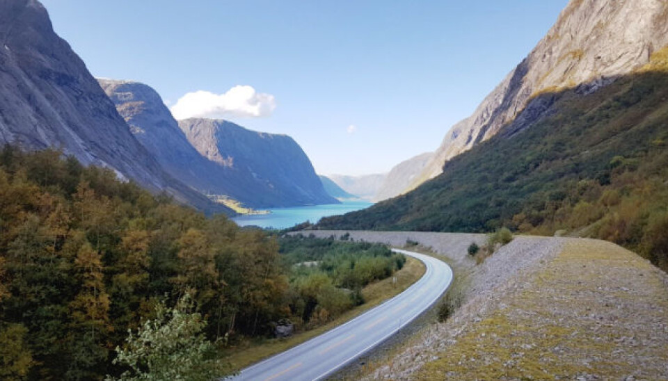 Statens vegvesen lyser ut én ny, stor veikontrakt for riksveiene i Sunnfjord, og deler av Sogn og Nordfjord. Dette gjelder deler av E39, riksvei 5 og riksvei 13. Bilde fra riksvei 5, ved Kjøsnesfjorden.