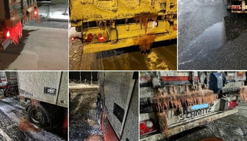 Noen eksempler på fisketransporter med rennende last. Bildene er tatt av Statens vegvesens kontrollører.