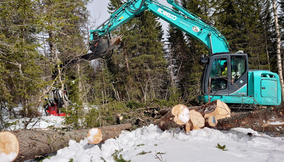 REKKEVIDDE: Kolbeco-graveren har med jibb/hogstaggregat en rekkevidde på 12 meter. (Foto: Frank Johansen). skog