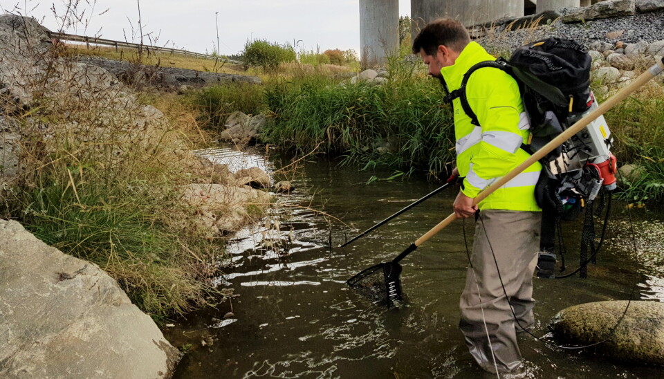 GODE KÅR: Statens vegvesen følger opp utviklingen i Fossbekken som ligger i Hobøl kommune i Viken. Foto: Statens vegvesen