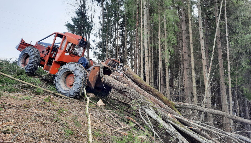 HELSTAMMEDRIFT: I vinterhalvåret hogger Henrik Kjeldsen tømmer og kjører ut virket med sin stammelunner Timberjack 230A, 1987-modell.