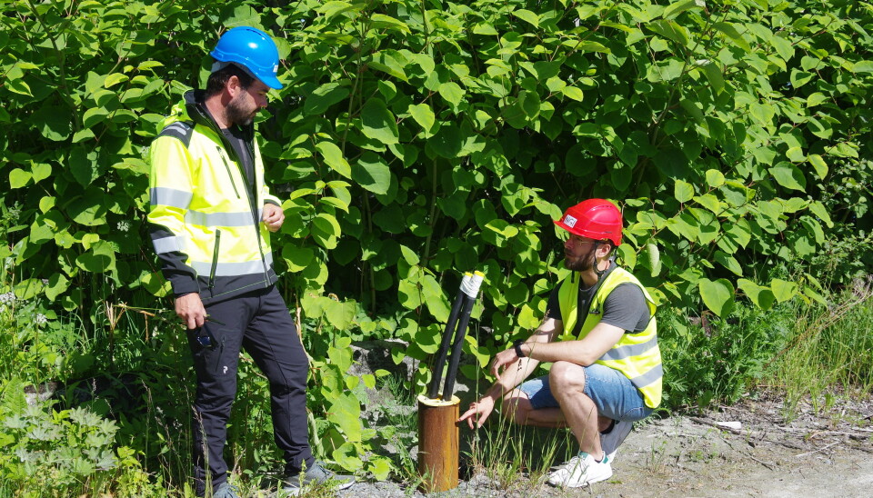 Ved Saksvik Renseanlegg i Malvik kommune har Asplan Viak AS allerede gjort tester av en energibrønn i berg. Prosjektansvarlig Tom André Havnes (t.v.) og prosjektleder Sondre Gjengedal er spente på hvordan energipelene i BEAR-prosjektet vil kunne prestere i forhold til denne. I BEAR-prosjektet vil energipelene bli ca. 25 m dype og det vil ikke bruke kollektorslanger slik som vist på bildet. Ved Saksvik Renseanlegg i Malvik kommune har Asplan Viak AS allerede gjort tester av en energibrønn i berg. Prosjektansvarlig Tom André Havnes (t.v.) og prosjektleder Sondre Gjengedal er spente på hvordan energipelene i BEAR-prosjektet vil kunne prestere i forhold til denne. I BEAR-prosjektet vil energipelene bli ca. 25 m dype og det vil ikke bruke kollektorslanger slik som vist på bildet.