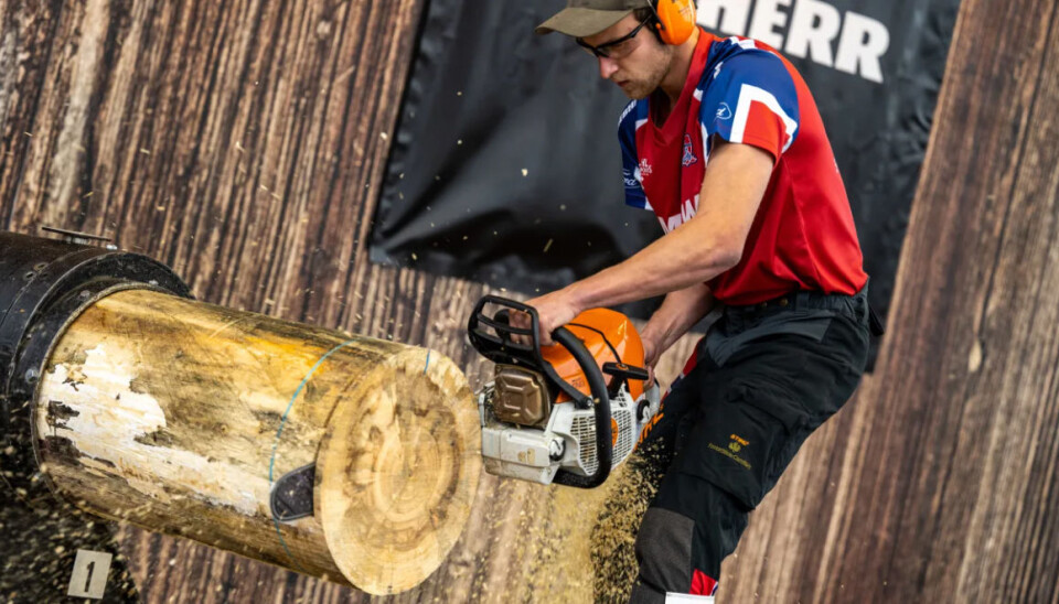 Her setter Ole Magnus Syljuberget fra Mesnali ny verdensrekord i øvelsen «Stock Saw» under helgens nordiske mesterskap i Stihl Timbersports i Stenkullen, Sverige.
