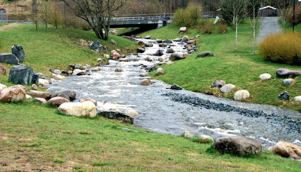 Åpning av bekker er et godt klimatilpasningstiltak. Ilabekken i Trondheim ble åpnet i 2008.