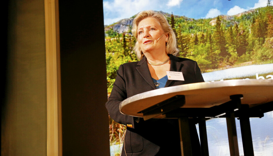 Generalsekretær i Norsk Bergindustri, Anita Hall, har mye positivt å si om den nye regjeringsplattformen.