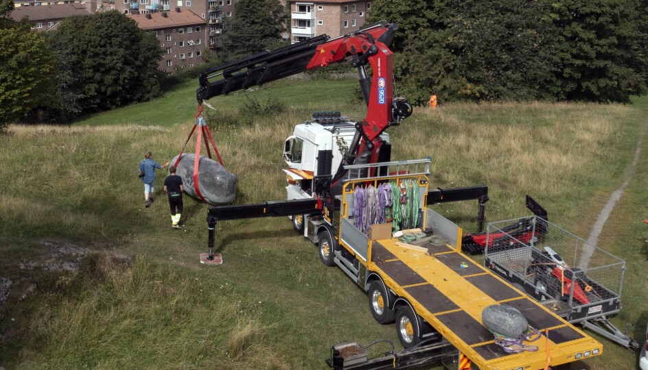 STORT: Det kreves krefter og muskler når Jørgen Grenne i Nesstra skal løfte på plass Christine Aspelunds skulptur Urtidshval på toppen av Tøyenparken. Skulpturen er hugget ut i Larvikitt.