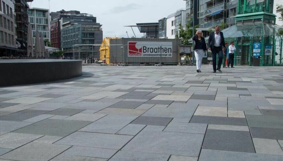 Braathen Landskapsentreprenør AS søker Prosjektleder