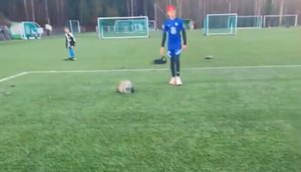 Dette bildet ble tatt av ungdommer som var på Sofiemyr kunstgress, rett etter salven ble satt av og steiner landet på kunstgressbanen. Se større bilde nedenfor.