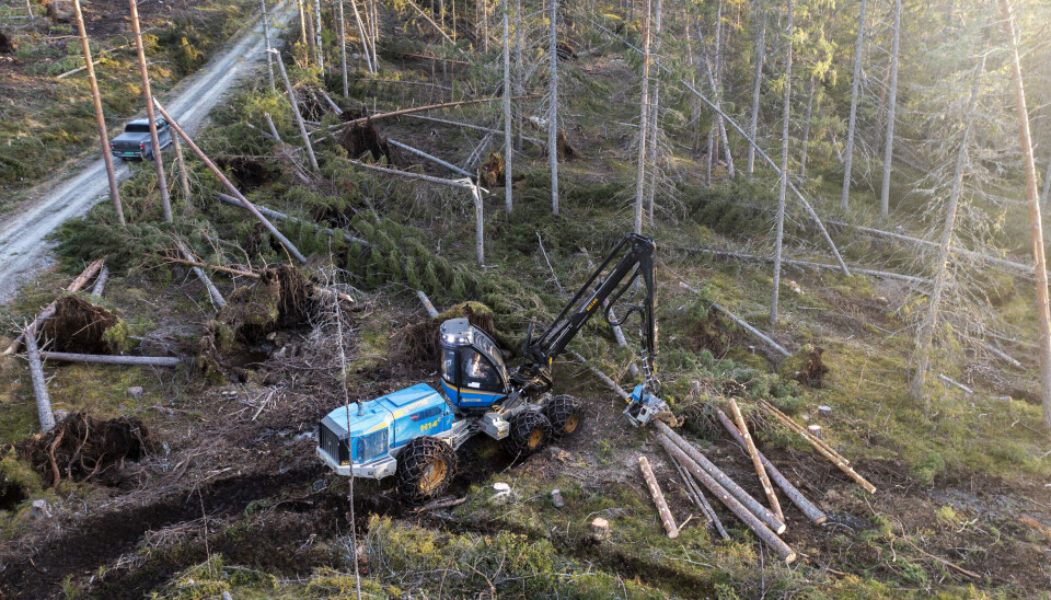 STORE SKADER: Over store deler av Viken, Innlandet og deler av Telemark ble stormskadene enorme etter vindværet 19. november. Også her i Flå var det store skader.