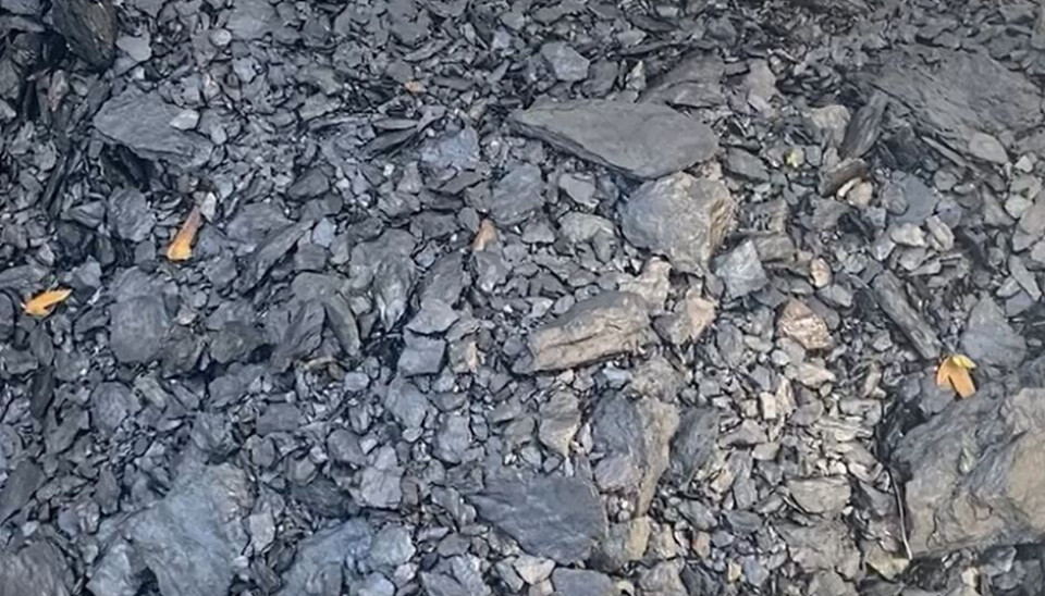Når man bygger på grunn som inneholder svartskifer, er det viktig med kunnskap som sikrer at bergarten blir behandlet og lagret riktig. Når man bygger på grunn som inneholder svartskifer, er det viktig med kunnskap som sikrer at bergarten blir behandlet og lagret riktig.