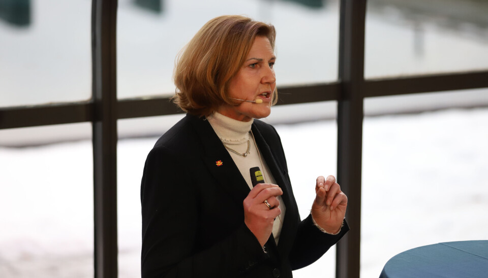Vegdirektør Ingrid Dahl Hovland vil ha tettere samarbeid med Norges Lastebileier-Forbund. (Foto: André Kjernsli).