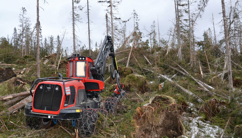 MYE: Rotvelt og toppbrekk, det er mye å ta for seg for Komatsu-hoggeren 931XC. (Fotos Erik Øverbø)