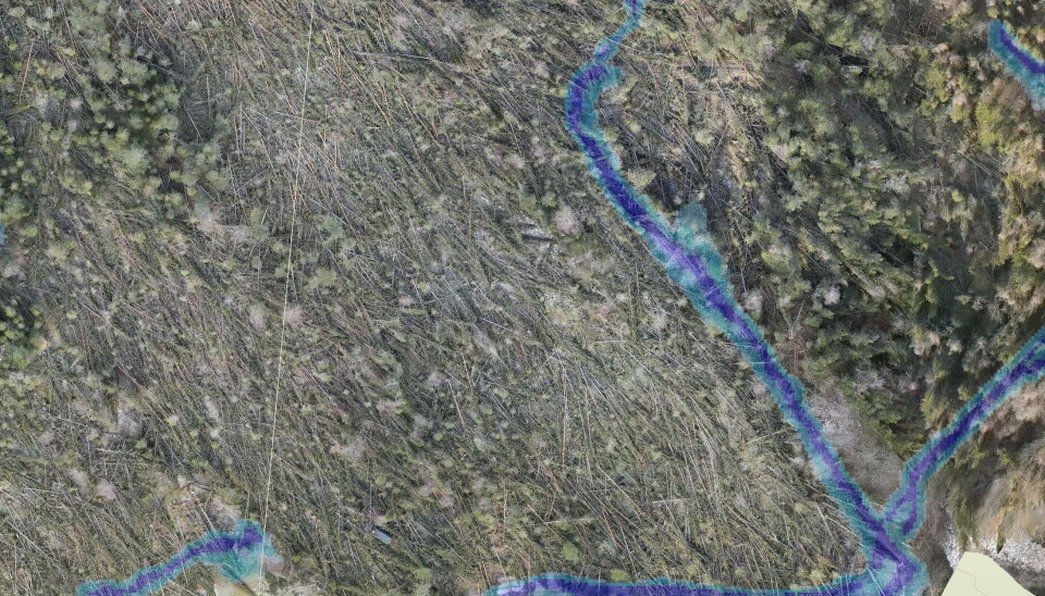 DRONER: Valdres Skog AS har benyttet droner for å få god oversikt hvor «stormskogen» ligger. Her fra et område i Etnedal.
