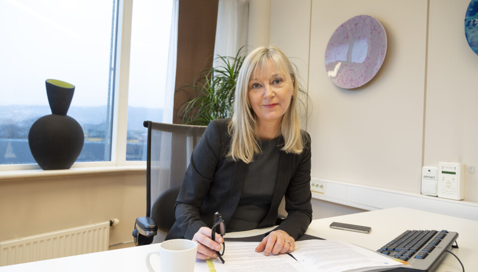 Trude Vollheim, direktør i Arbeidstilsynet, ser en tendens til at arbeidsskadedødsfall per år øker igjen i Norge.