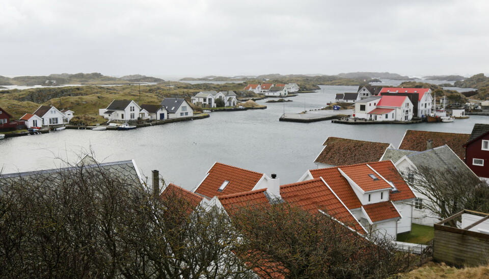 PARADIS: Før vi reiste til Kvitsøy fikk vi høre at vi skulle reise til «Paradis på jord». Det er unektelig fint her ute.